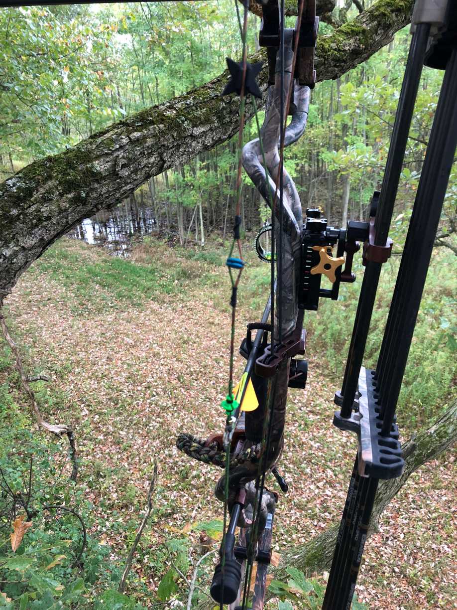 Hoyt Carbon Extreme in my treestand 2019-KT.jpeg